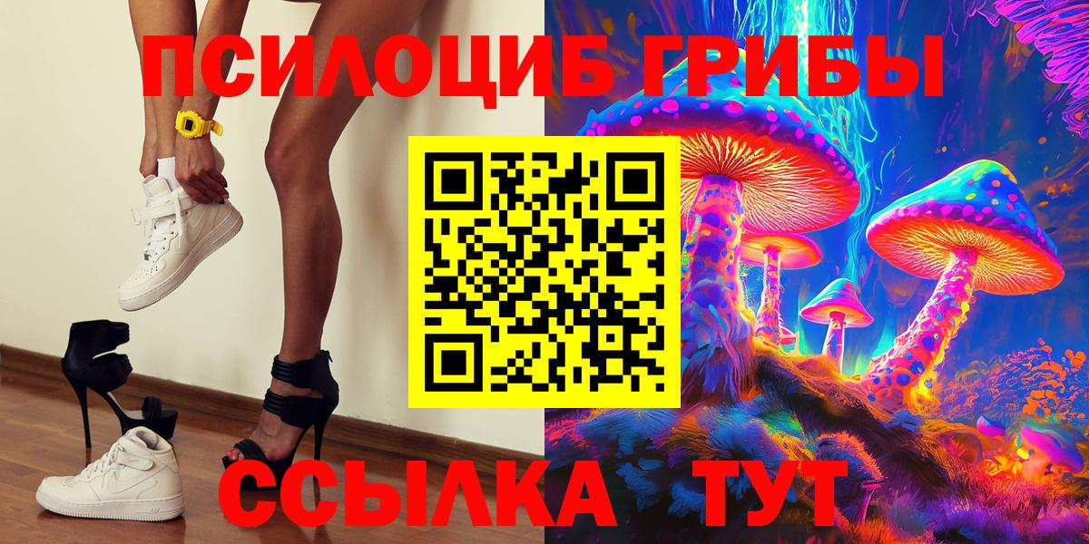 что такое наркотик  Галлюциногенные грибы Cubensis  Вход с VPN  Губаха 